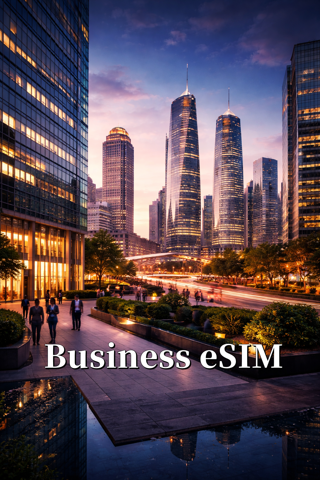 Business eSIM Plan